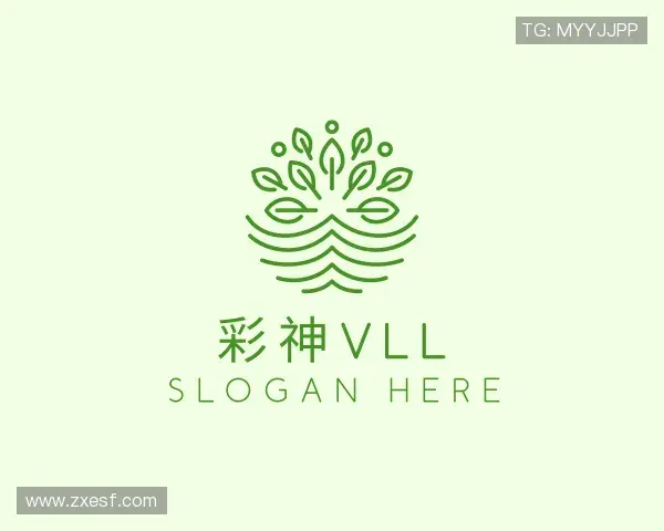 发现彩神vll